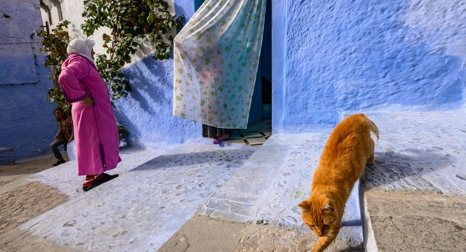 28 38 Chefchaouen 8